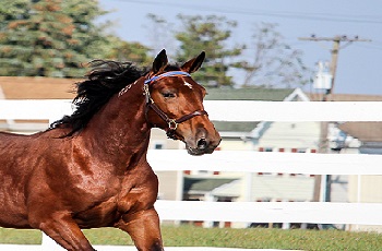 Keepthetab Hanover